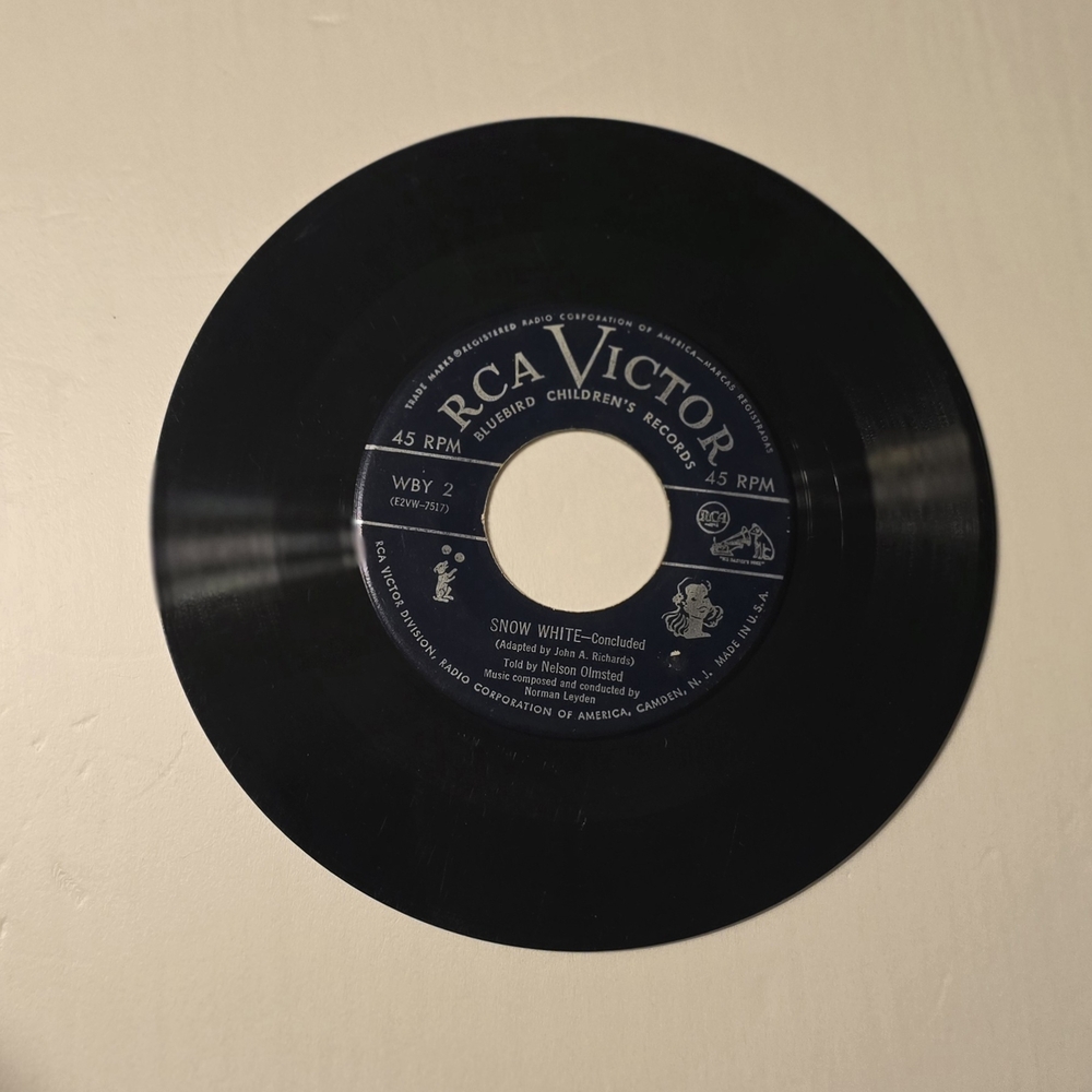 Blue Bird Vinyl Record - Black